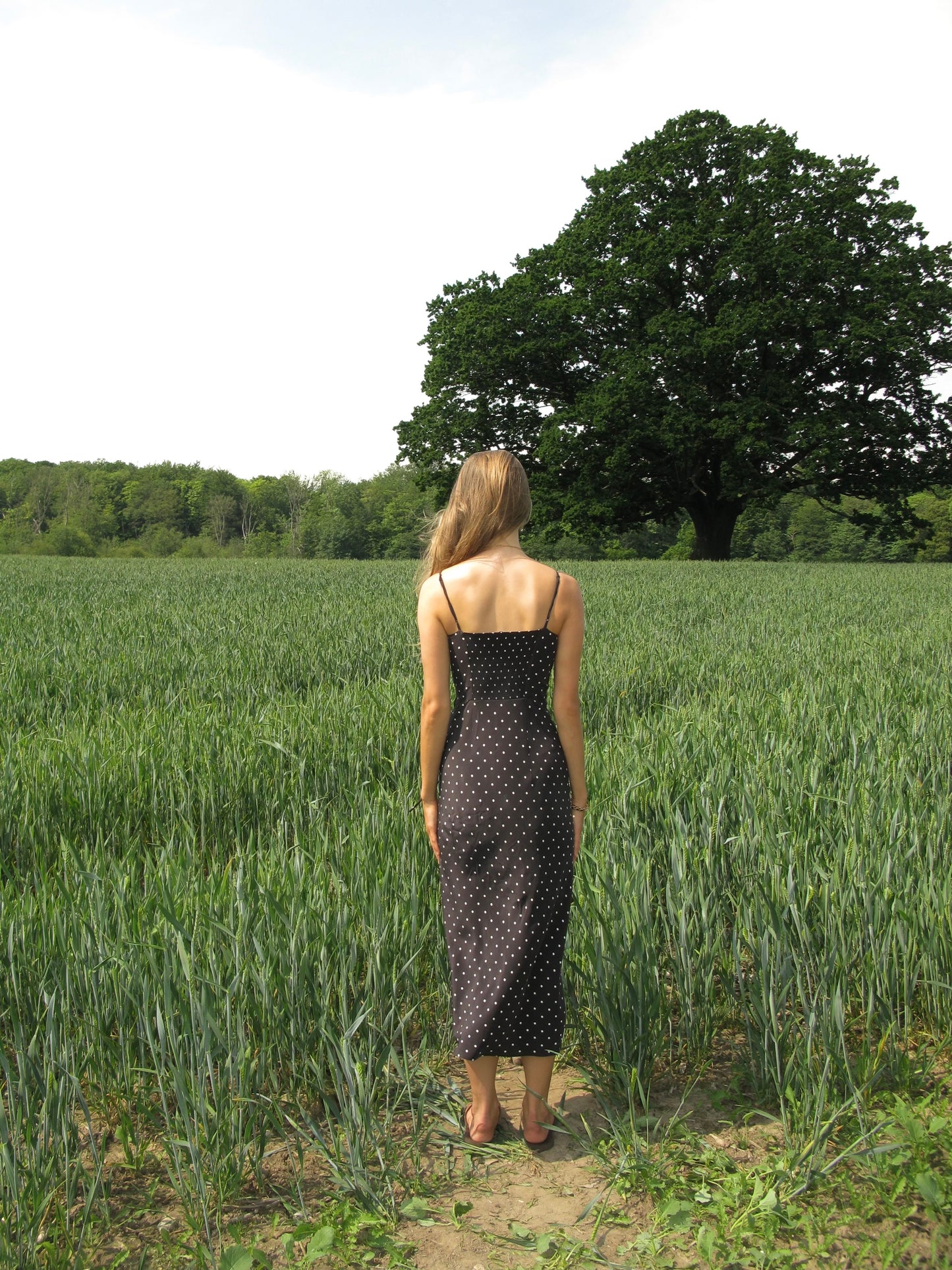 Realisation Par - The Carolin In Spot